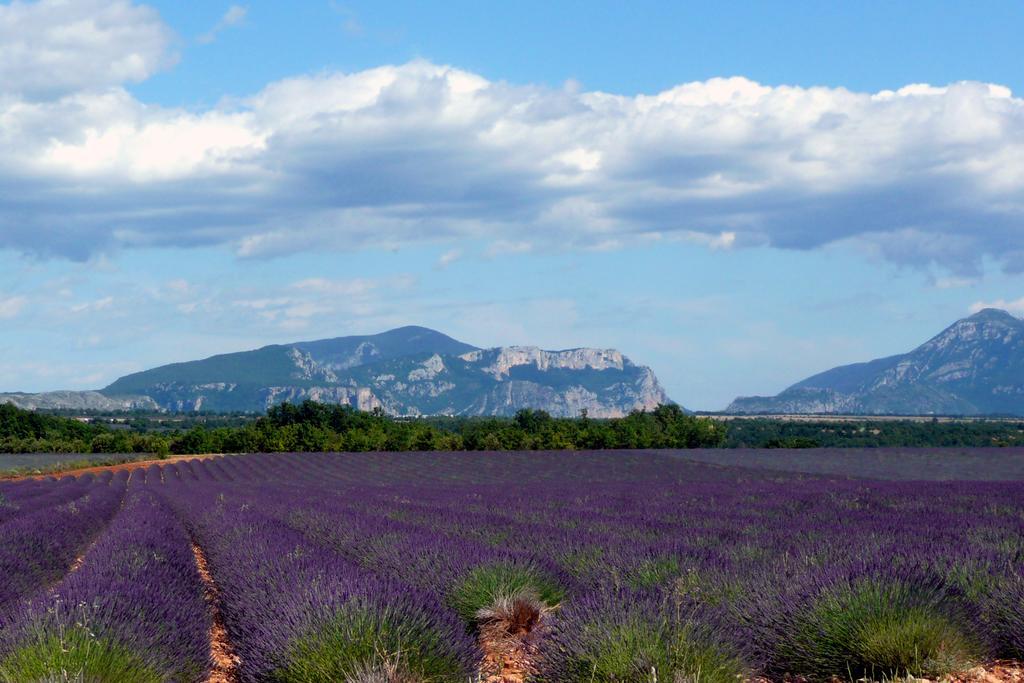 Le Domaine Du Thronnet 3*